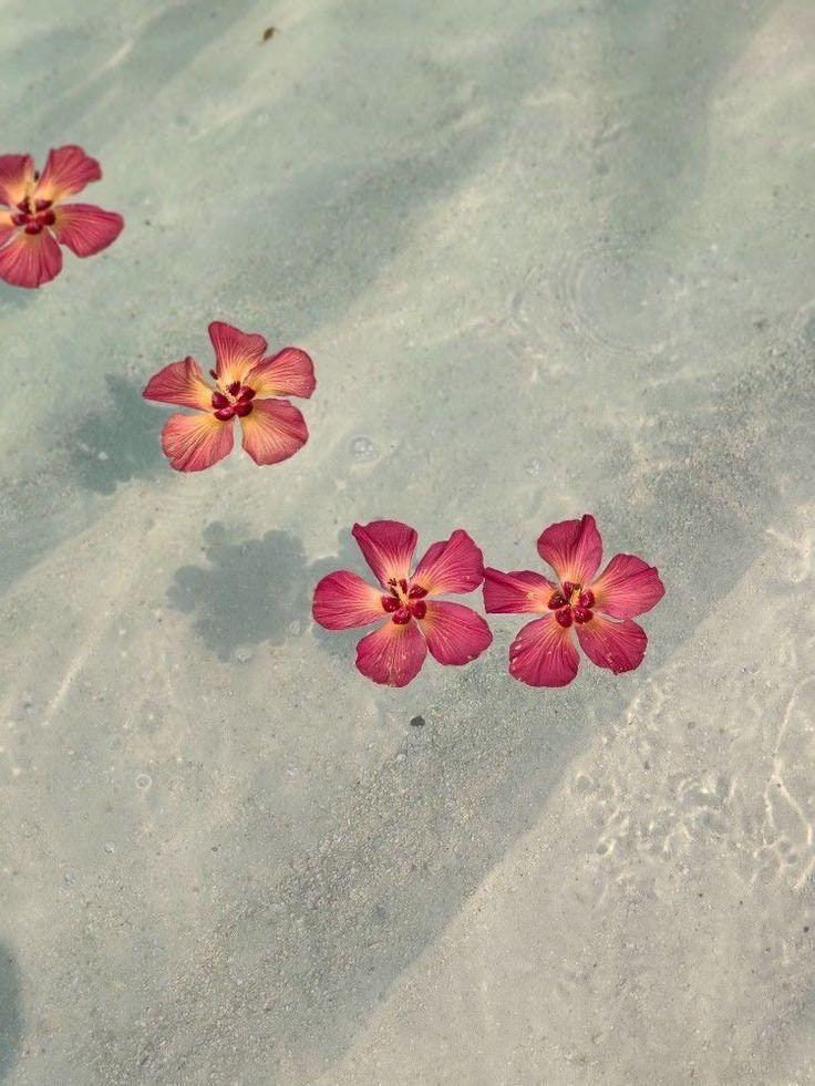 Enchanted Eden: Botanical Dreamscape Array